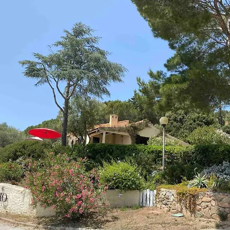 Panoramic - Dream And Сasa de vacaciones