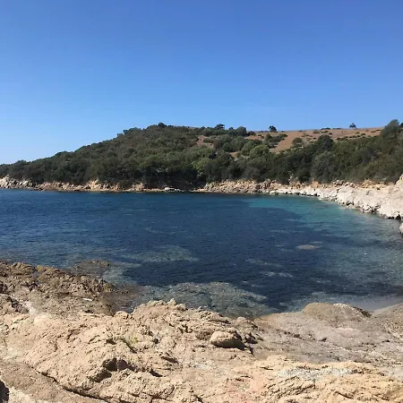 Panoramic - Dream And Vico