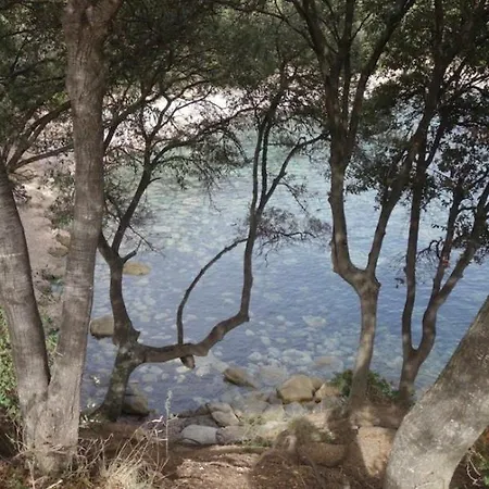 Panoramic - Dream And Vico