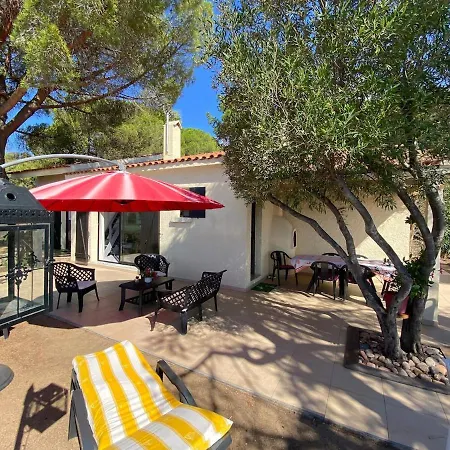 Panoramic - Dream And * Vico