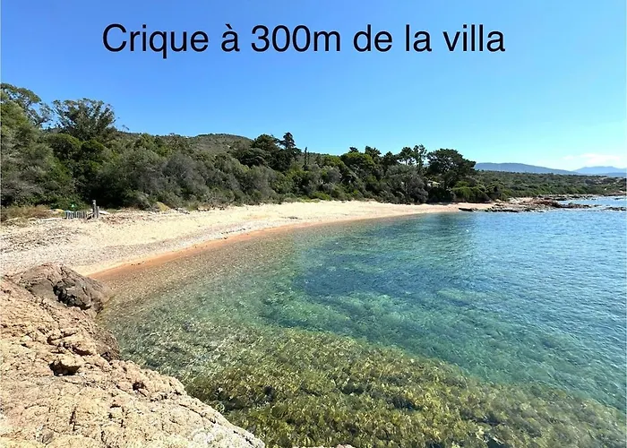 Panoramic - Dream And Vico