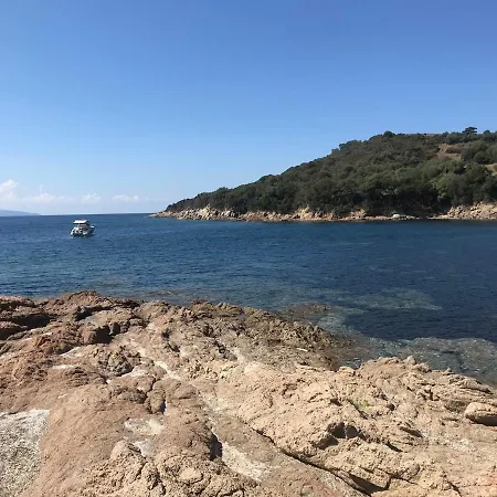 Panoramic - Dream And * Vico