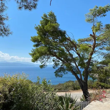 펜션 Panoramic - Dream And Vico