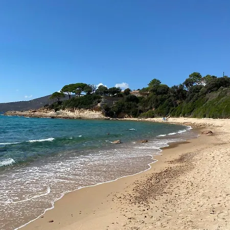 Panoramic - Dream And *