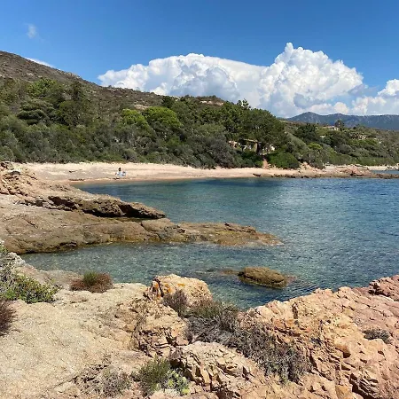 Panoramic - Dream And *