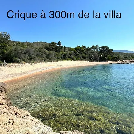 Panoramic - Dream And Vico