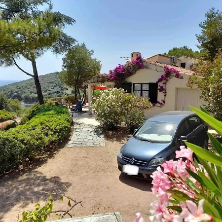 Panoramic - Dream And * Vico