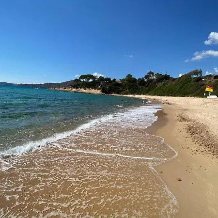 Panoramic - Dream And *