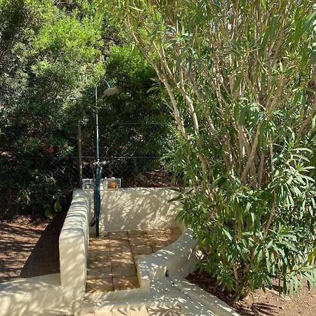 Panoramic - Dream And Vico