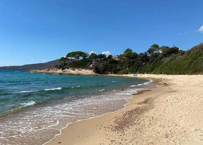 Panoramic - Dream And *