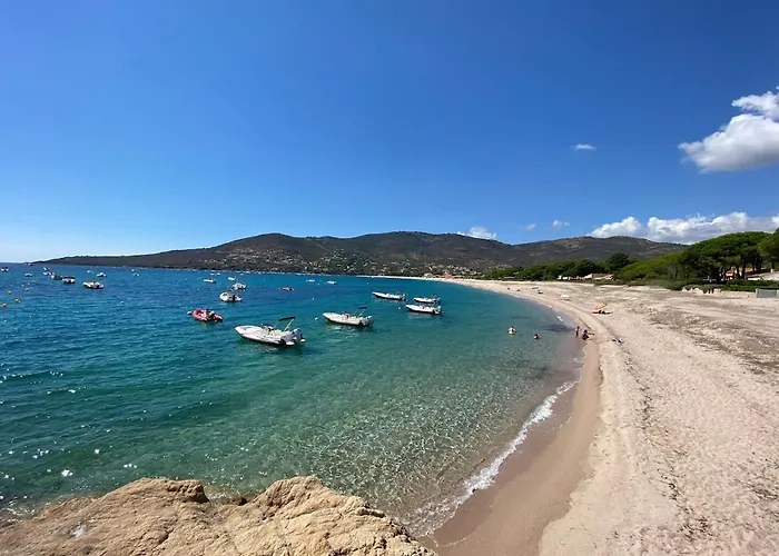 Panoramic - Dream And Vico