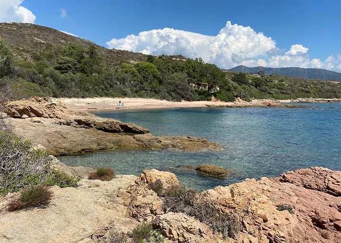 Panoramic - Dream And *