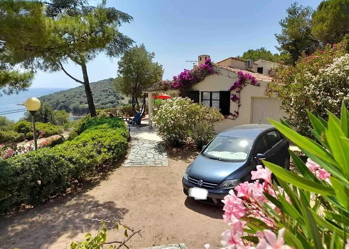 Panoramic - Dream And * Vico