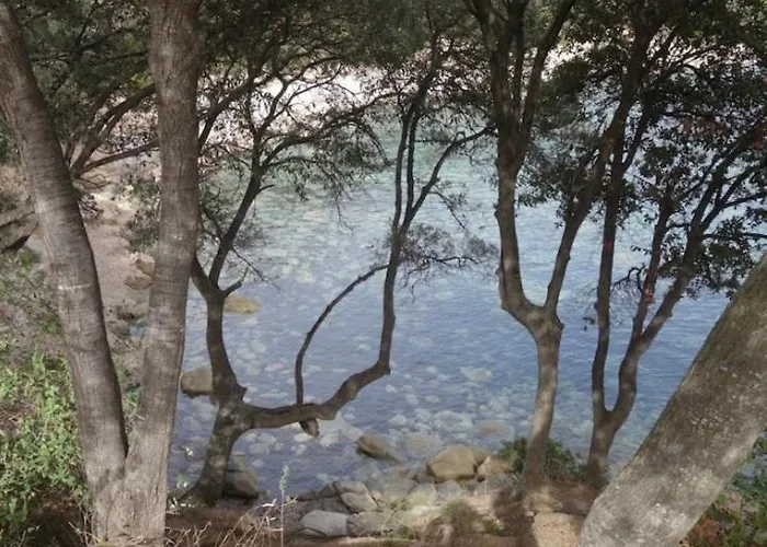 Panoramic - Dream And Vico