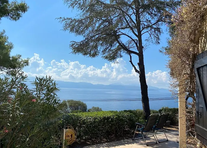 Panoramic - Dream And *