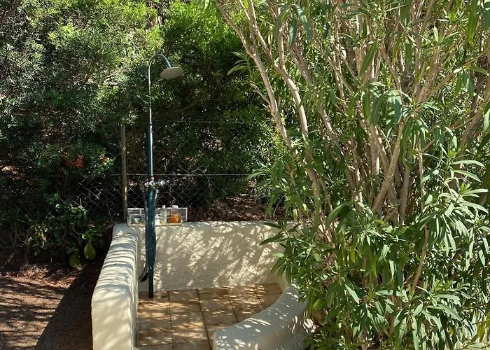 Panoramic - Dream And Vico